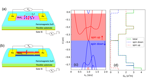 1594090937977038941.png 图片2_副本.png